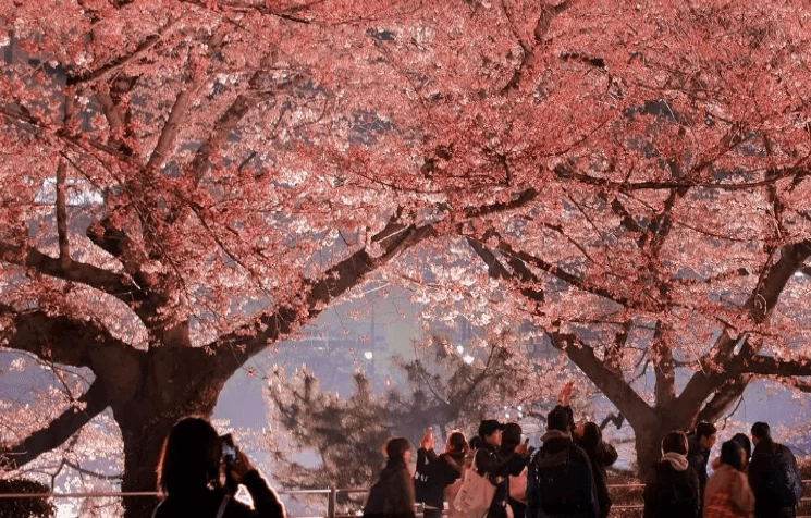 우미노나카미치 해변공원