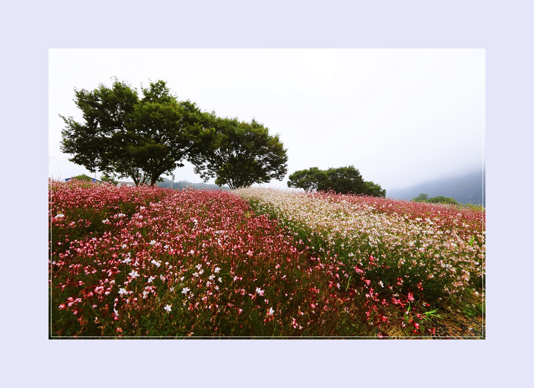 도담행복마을 이미지