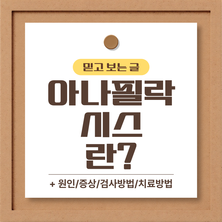  아나필락시스 란?