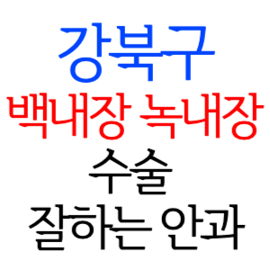 서울 강북구 백내장 녹내장 수술잘하는곳 안과 병원 추천 후기 수술 가격 비용 비교 스마일라식 라섹 드림렌즈 노안 노인 근시 시력교정 렌즈 시력검사 망막 종합검진