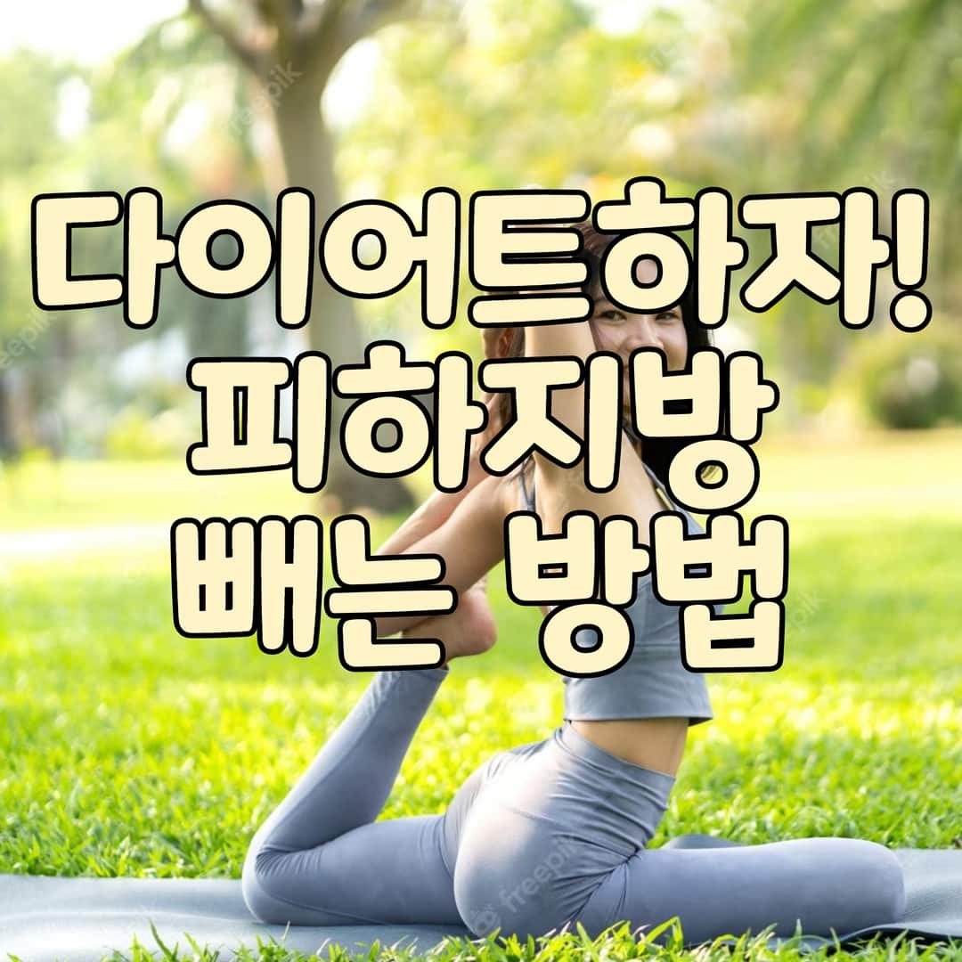  피하지방 빼는 방법(피하지방이 쌓이는 이유)