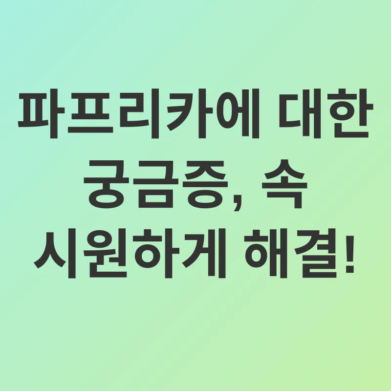 파프리카 건강 효능_4