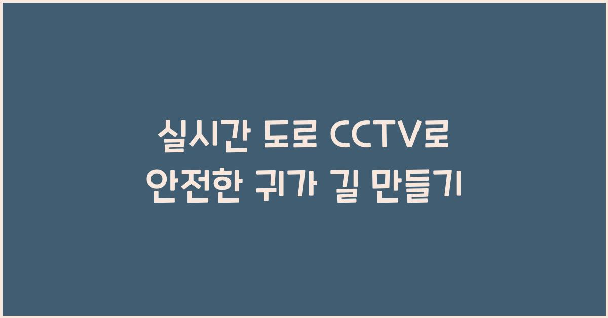 실시간 도로 cctv