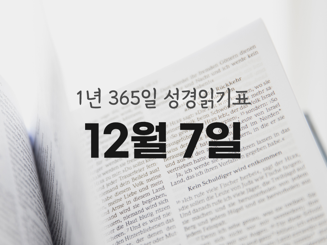 1년 365일 성경읽기표 12월 7일 에페소서 성경읽기 진도표 다운로드