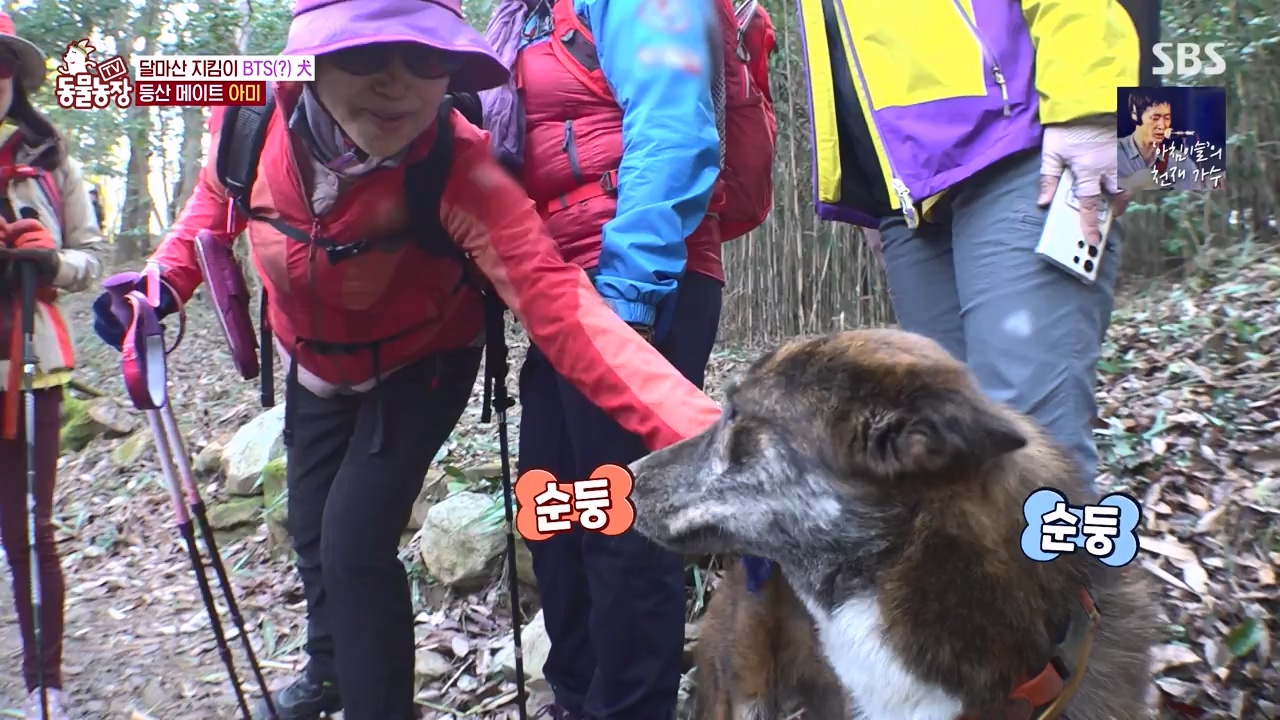 TV 동물농장.E1168.240422p-NEXT.mp4_20240421_170931.922.jpg