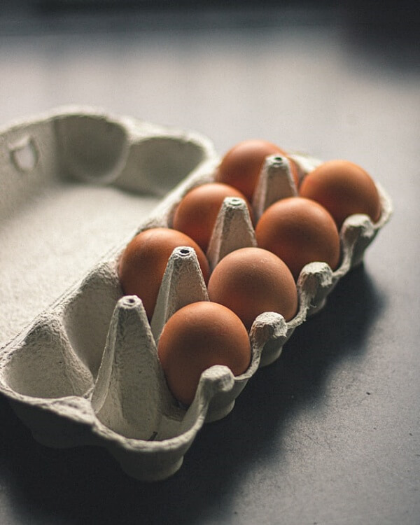 egg 달걀 계란 알 닭 병아리 꿈 6