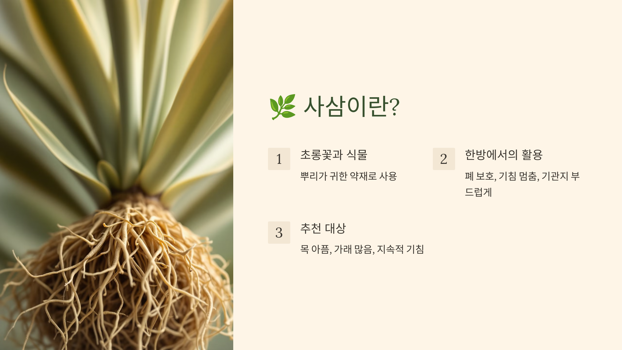 사삼으로 폐 건강을 강화하다 🌿💨