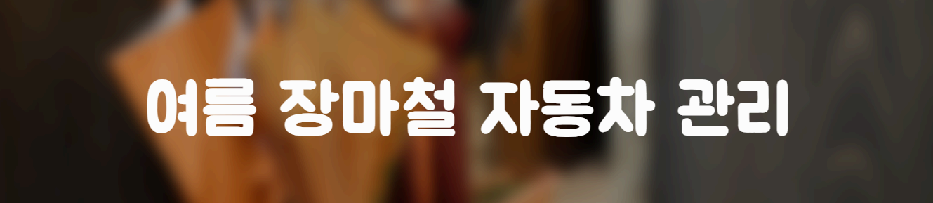  여름 장마철 자동차 관리법 꿀팁