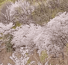 화담숲 예매·예약·주차 완벽 가이드