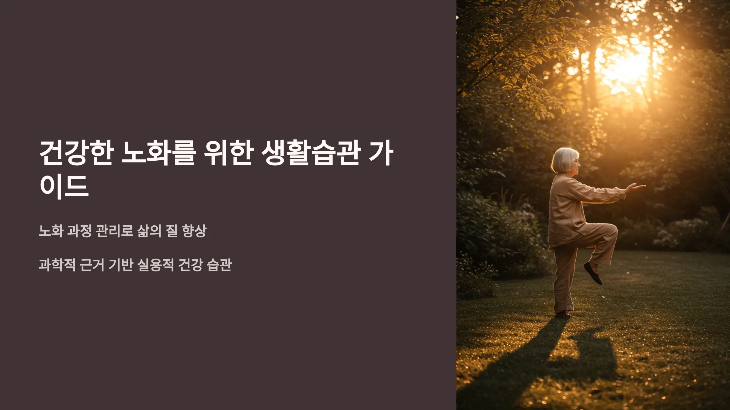 노화를 늦추는 생활습관: 건강한 삶을 위한 평생 전략