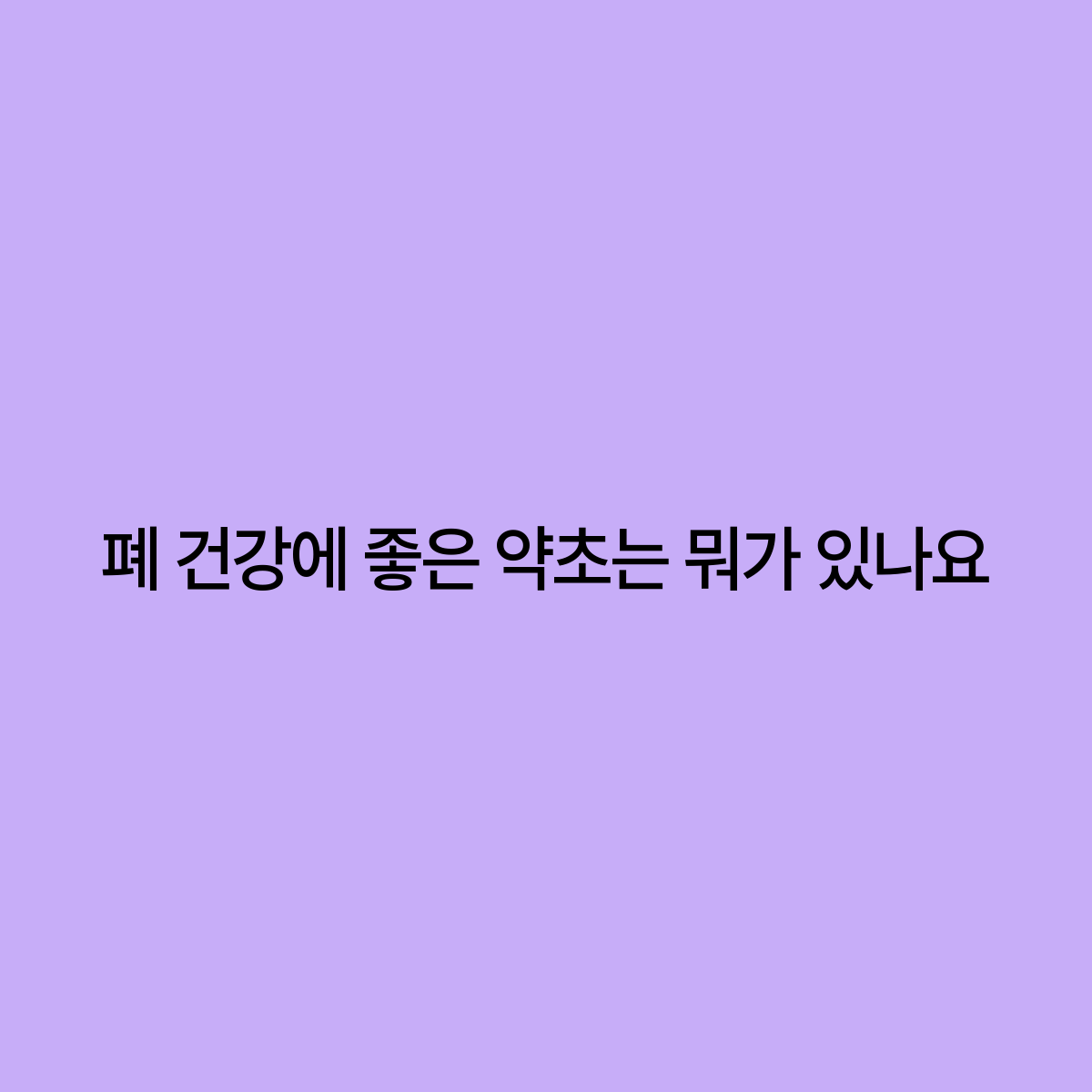 약초생활건강 이미지