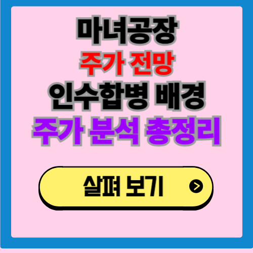 마녀공장 주가
