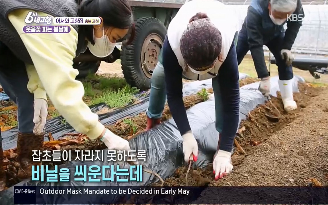 6시 내고향.E7518.220426p.H264-F1RST.mp4_20220504_191047.110.jpg