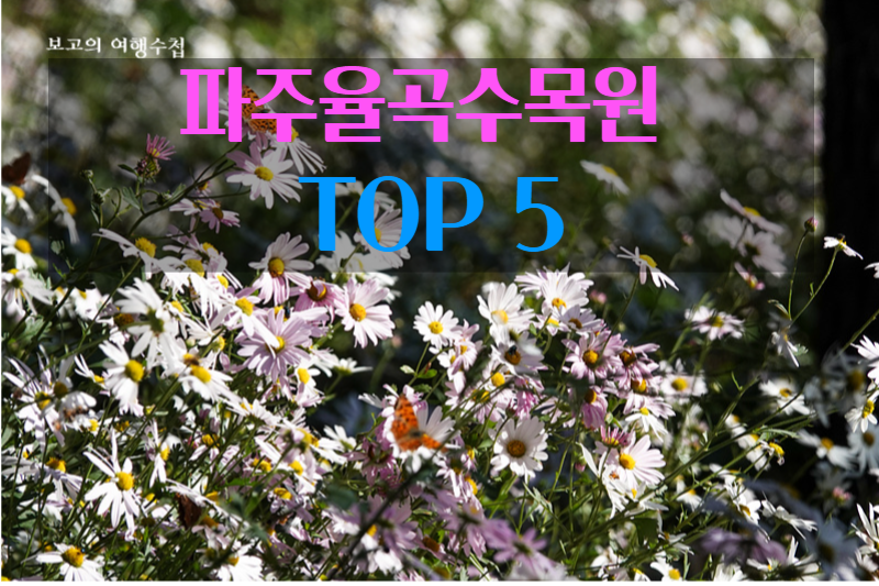 파주율곡수목원 TOP 5 썸네일