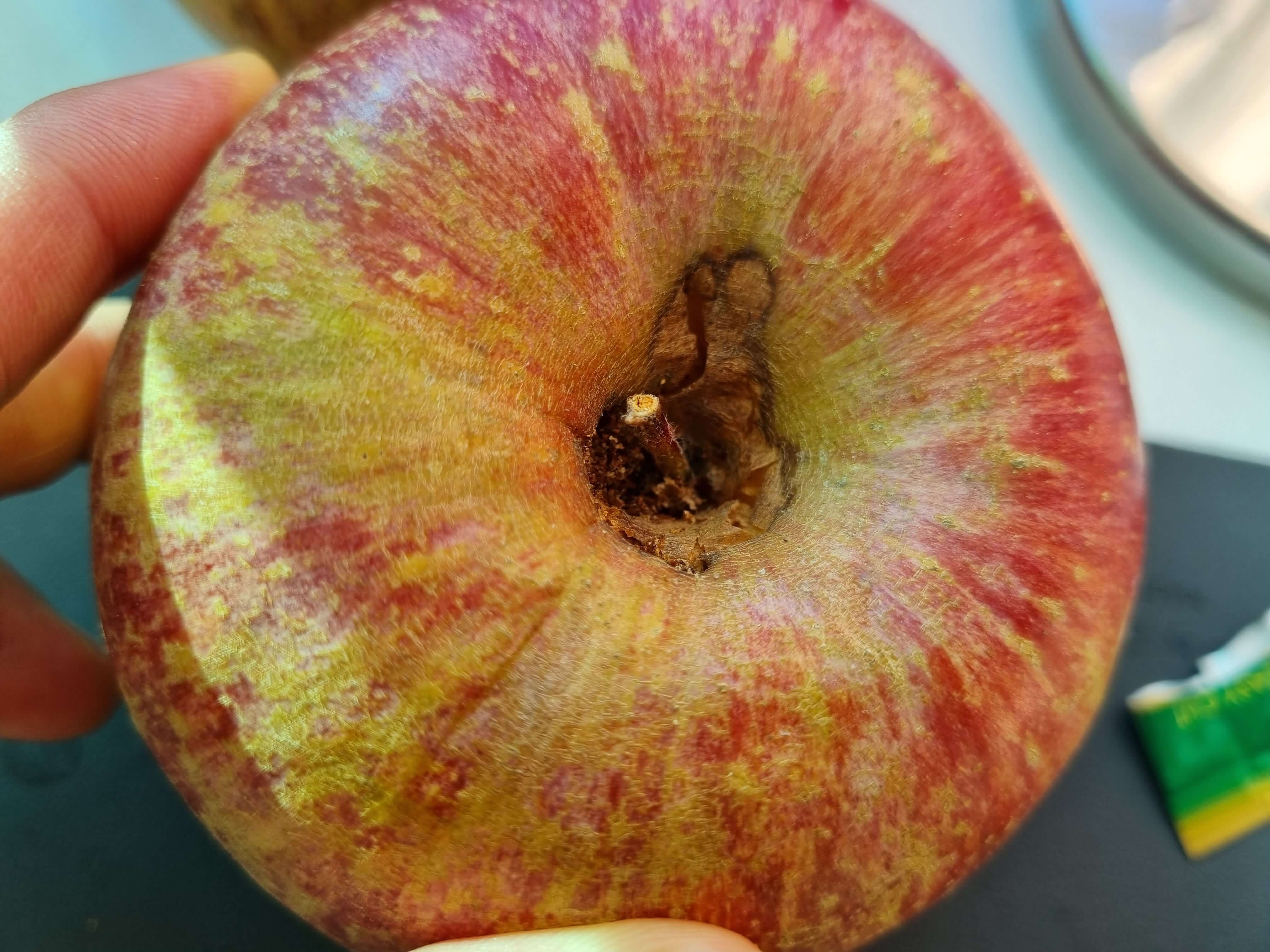가운데 썩은 농수산물 사과