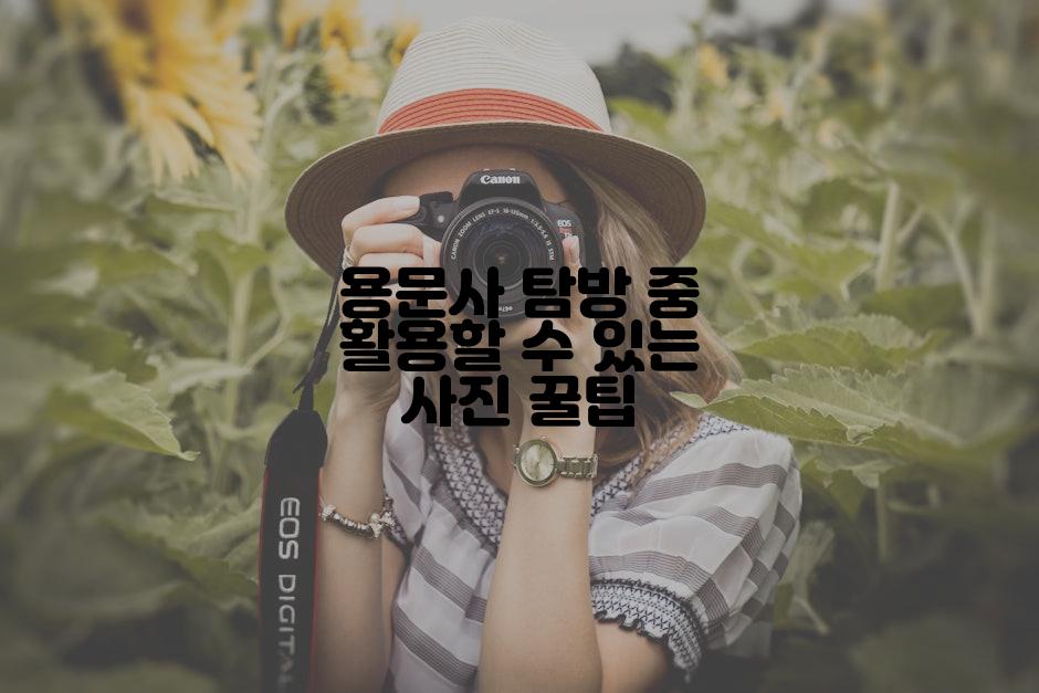 용문사 탐방 중 활용할 수 있는 사진 꿀팁