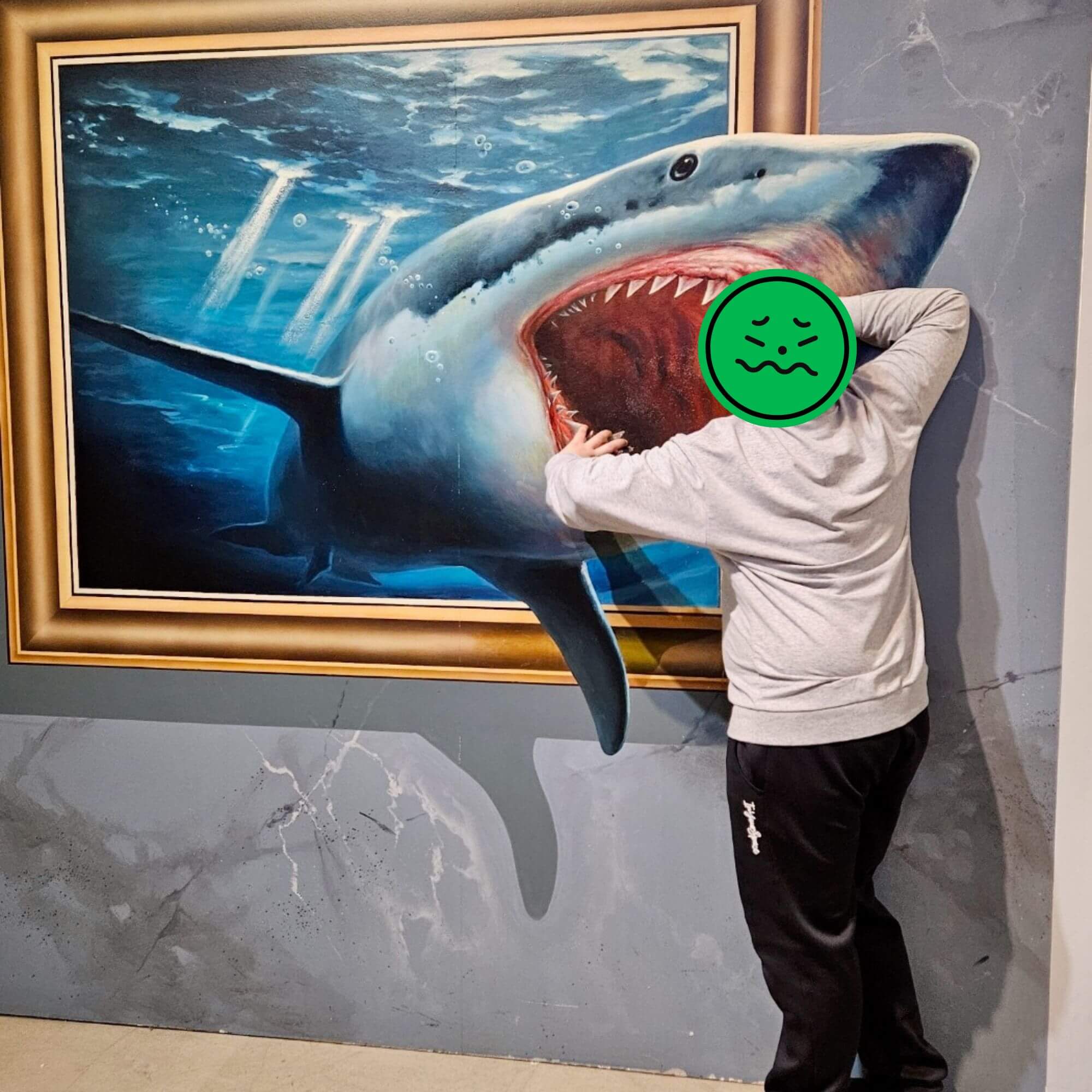 박물관은살아있다 제주 - 상어