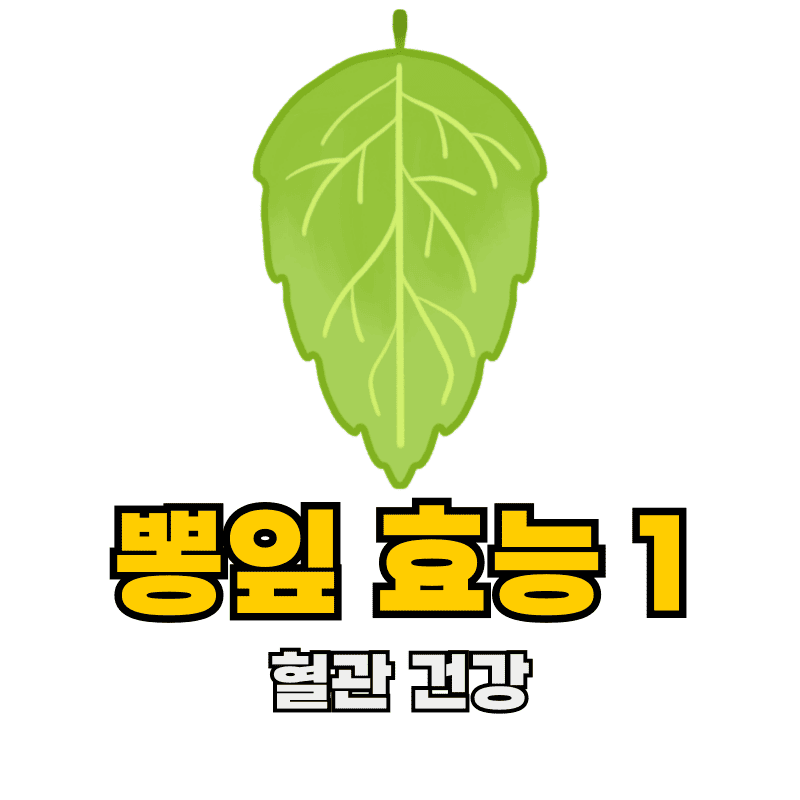 뽕잎