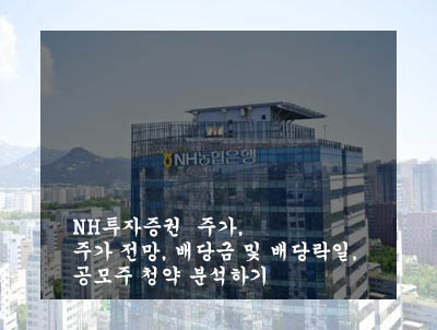 NH투자증권 주가&#44; 주가 전망&#44; 배당금 및 배당락일&#44; 공모주 청약 분석하기