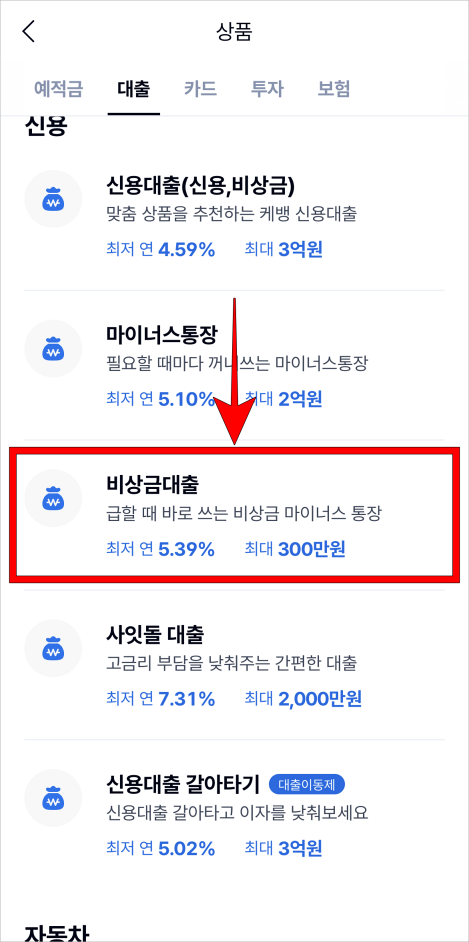 대출 상품 중 '비상금대출'을 선택