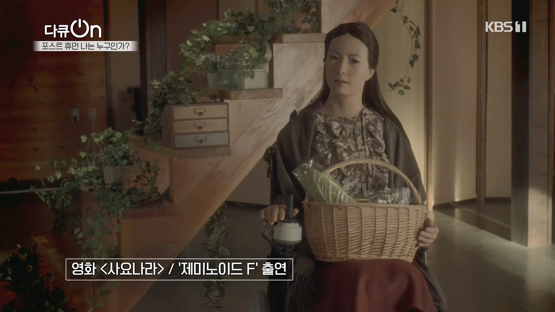 다큐 On.E196.230428p.H264-F1RST.mp4_20230430_174506.958.jpg