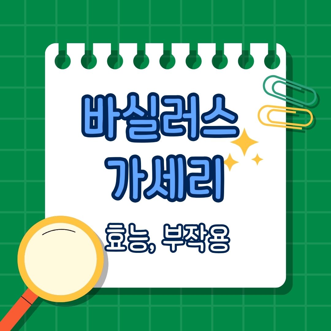 바실러스 가세리(Bacillus gasseri)란 무엇인가, 락토바실러스 가세리의 특징, 주요 효능, 장건강 개선, 면역력 강화, 체지방 감소 및 비만 예방, 염증 완화 효과, 위 건강 보호, 부작용 및 주의 사항, 초기 부작용 가능성, 면역이 약한 사람은 주의 필요, 과다 섭취 시 부작용 가능성, 권장 섭취량, 권장량 및 복용법, 함께 섭취하면 좋은 영양제 및 피해야 할 영양제, 많이 포함된 음식, 발효 식품, 건강기능식품