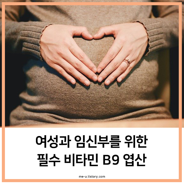 임신부 엽산