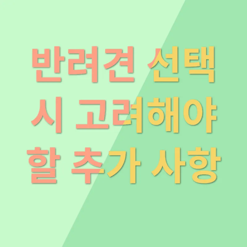 반려견 분양_3