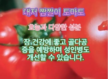 대저토마토-효능-대저-짭짤이-토마토-영양-성분