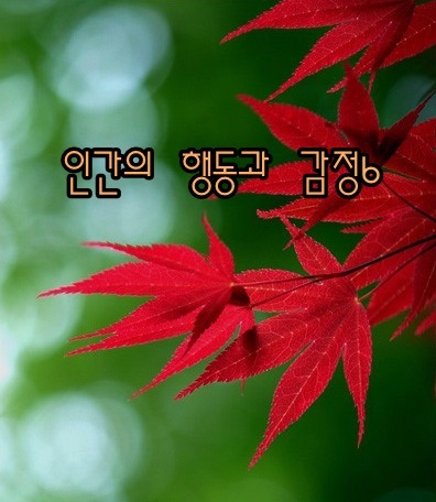  인간의 행동과 감정 - 해몽6;만족감,불만족,포만감,기갈,쾌활함과 강력함,빈약함 등.