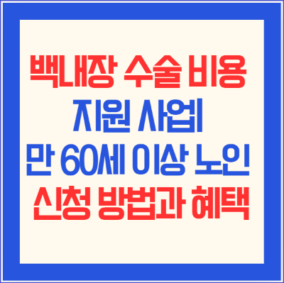 백내장 수술 비용 지원 사업❘ 만 60세 이상 노인 신청 방법과 혜택
