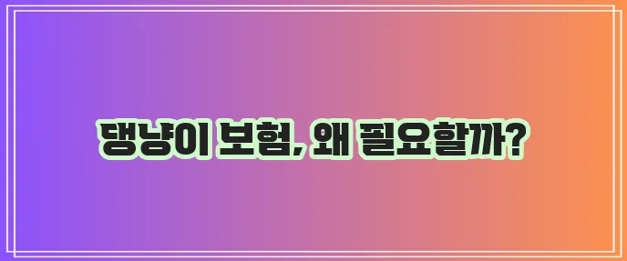 KB손해보험 애완동물보험으로 댕냥이 행복과 건강 꼭 지켜주세요!