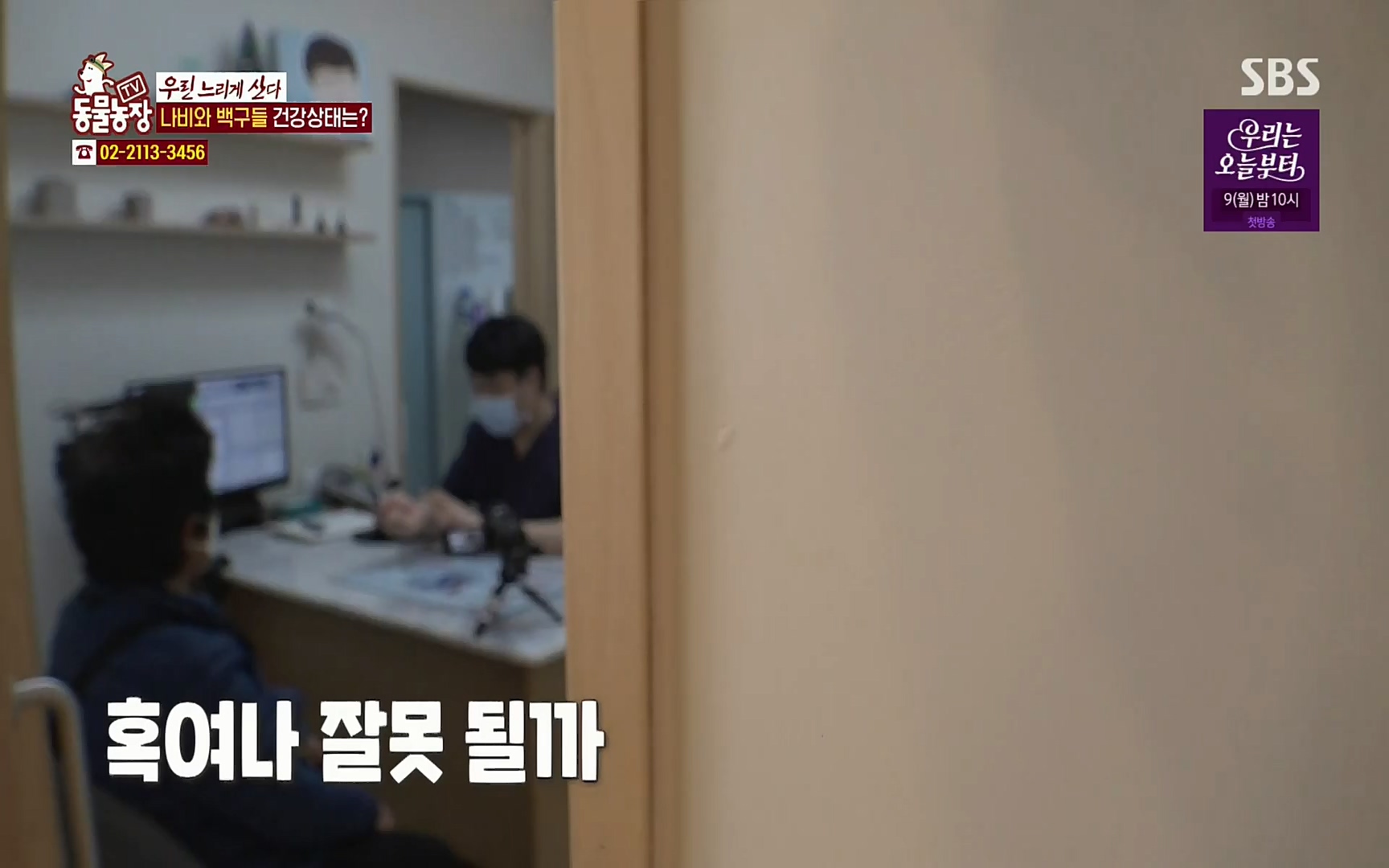 TV 동물농장.E1067.220501p.H264-F1RST.mp4_20220501_185023.167.jpg