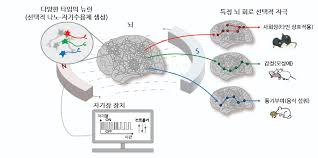 감정조절 성공