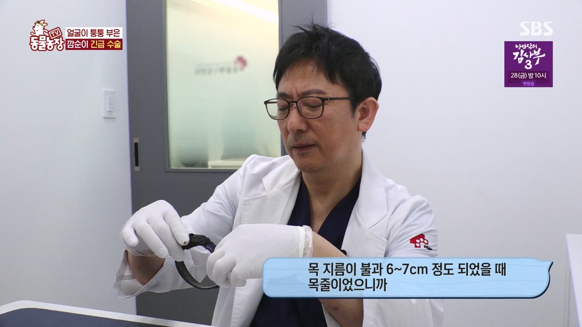 TV 동물농장.E1118.230423p.H264-F1RST.mp4_20230423_181136.124.jpg
