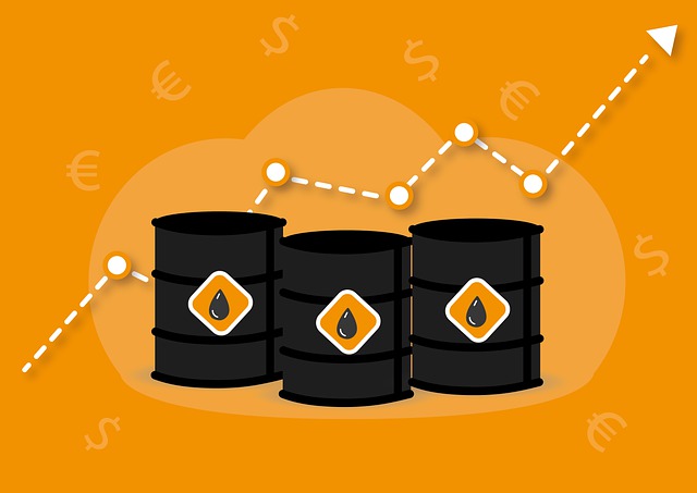  러시아 원유 가격 상한제와 OPEC+ 의 감산 발표
