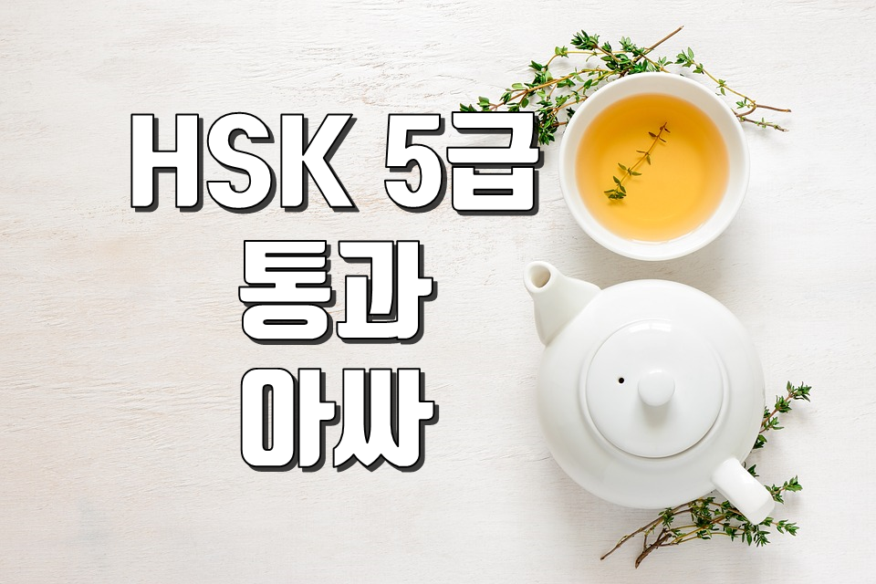 HSK 5급 합격 후기!!!