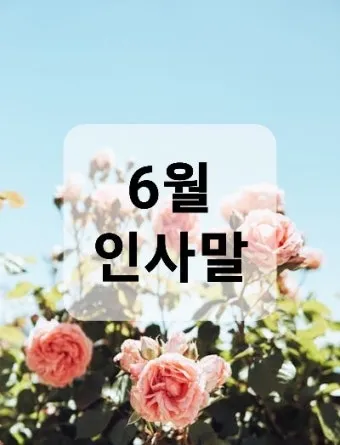 6월 인사말 모음집 이미지 문구 이미지 모음_13