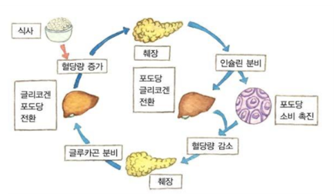 사진설명