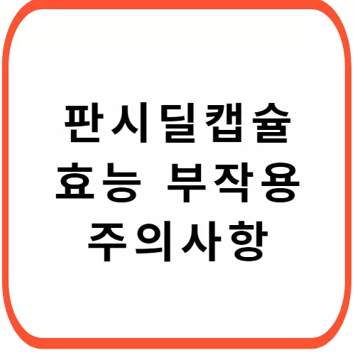 판시딜-캡슐-가격-주의사항-썸네일