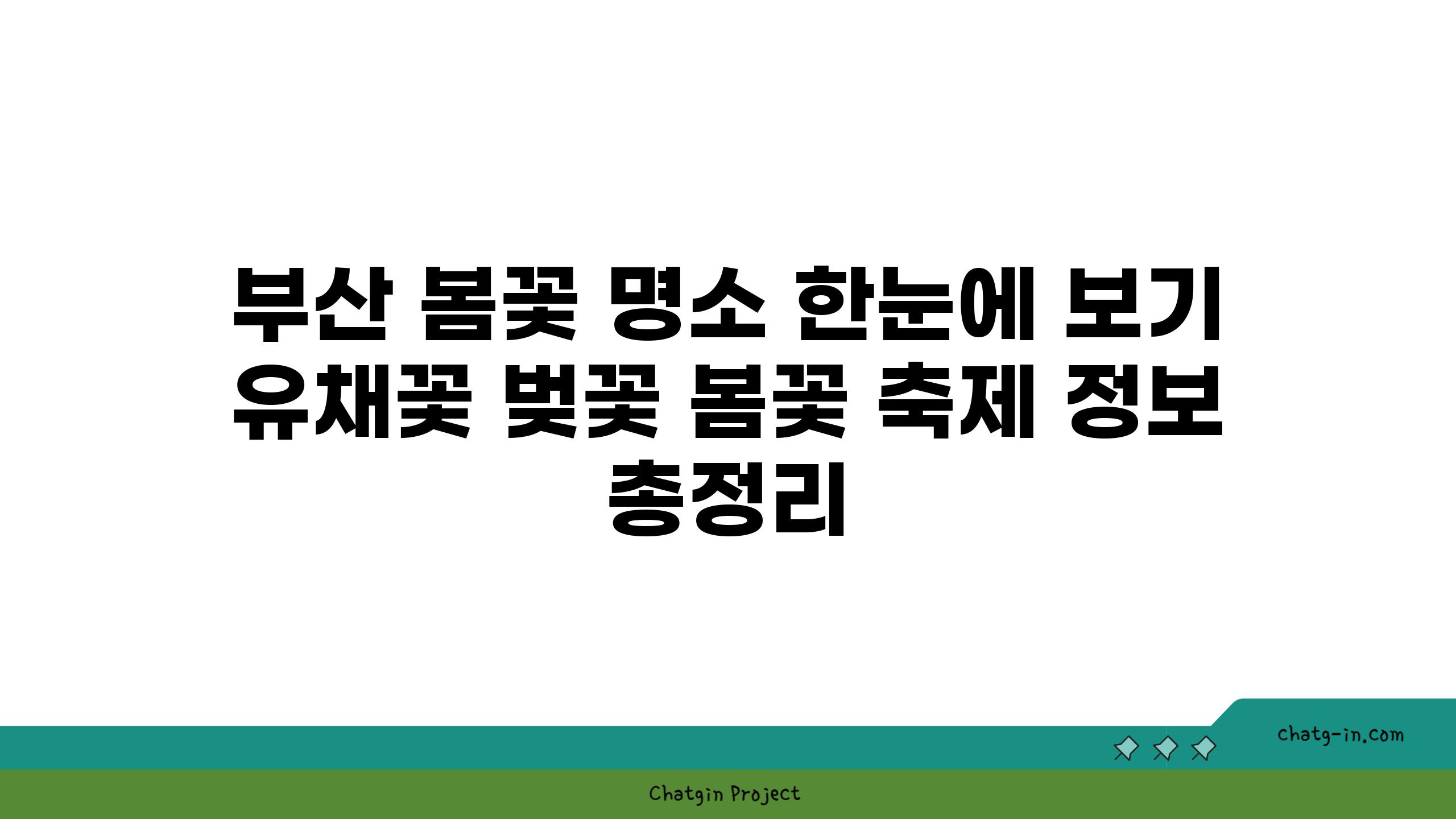 부산 봄꽃 명소 한눈에 보기 유채꽃 벚꽃 봄꽃 축제 정보 총정리