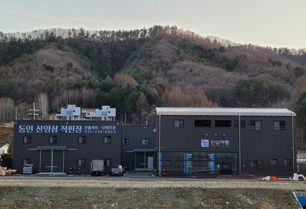 6시내고향 강원 평창 산양삼 구매방법 산삼어람