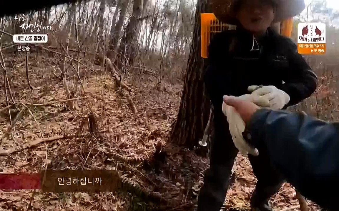 나는 자연인이다.E499.220428p-NEXT.mp4_20220428_175940.985.jpg