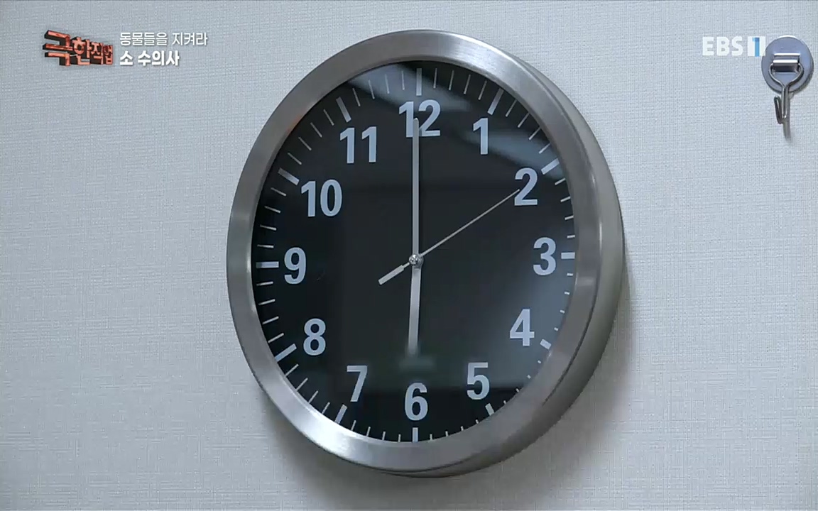 TV - 교육의 중심 EBS동물들을 지켜라, 수의사와 유기 동물 구조팀.mp4_20220913_200148.606.jpg