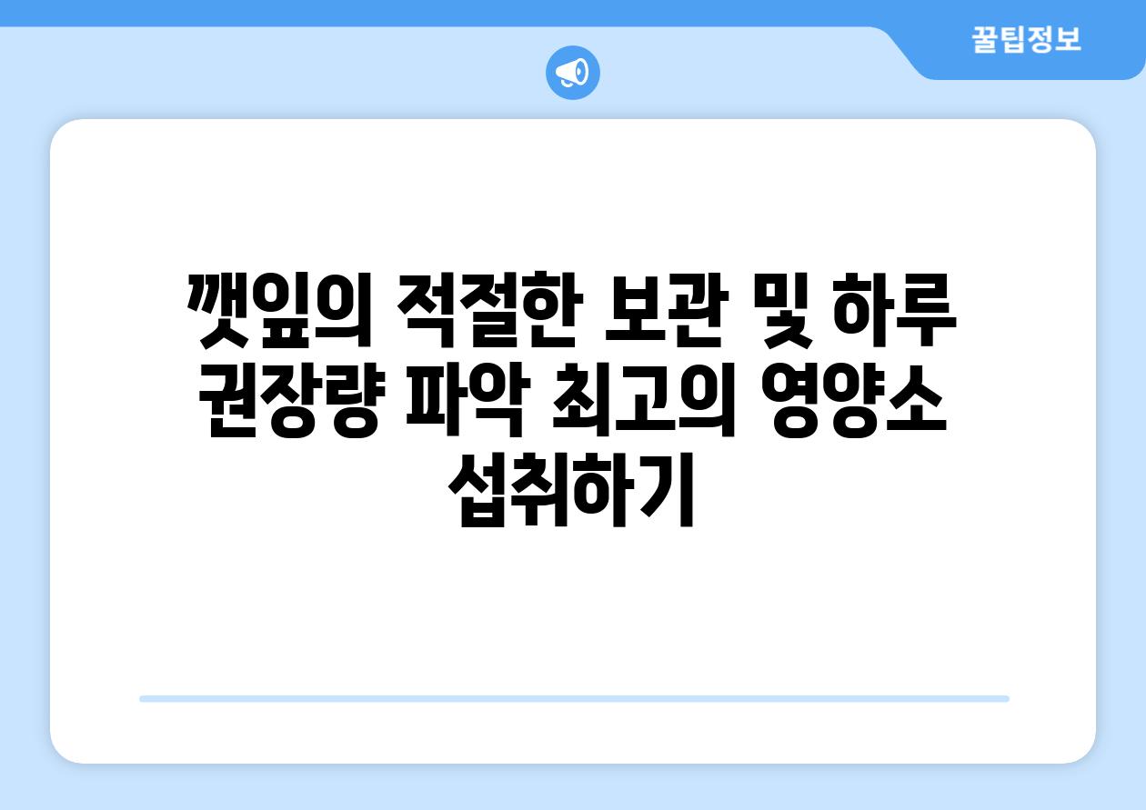 깻잎의 적절한 보관 및 하루 권장량 파악 최고의 영양소 섭취하기