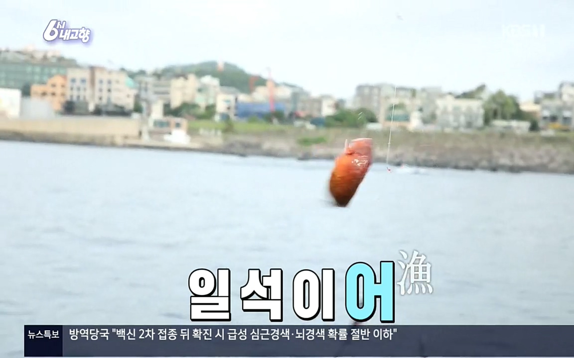 6시 내고향.E7596.220813p.H264-F1RST.mp4_20220814_175827.033.jpg