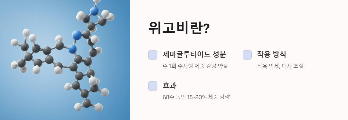위고비란 무엇인가?