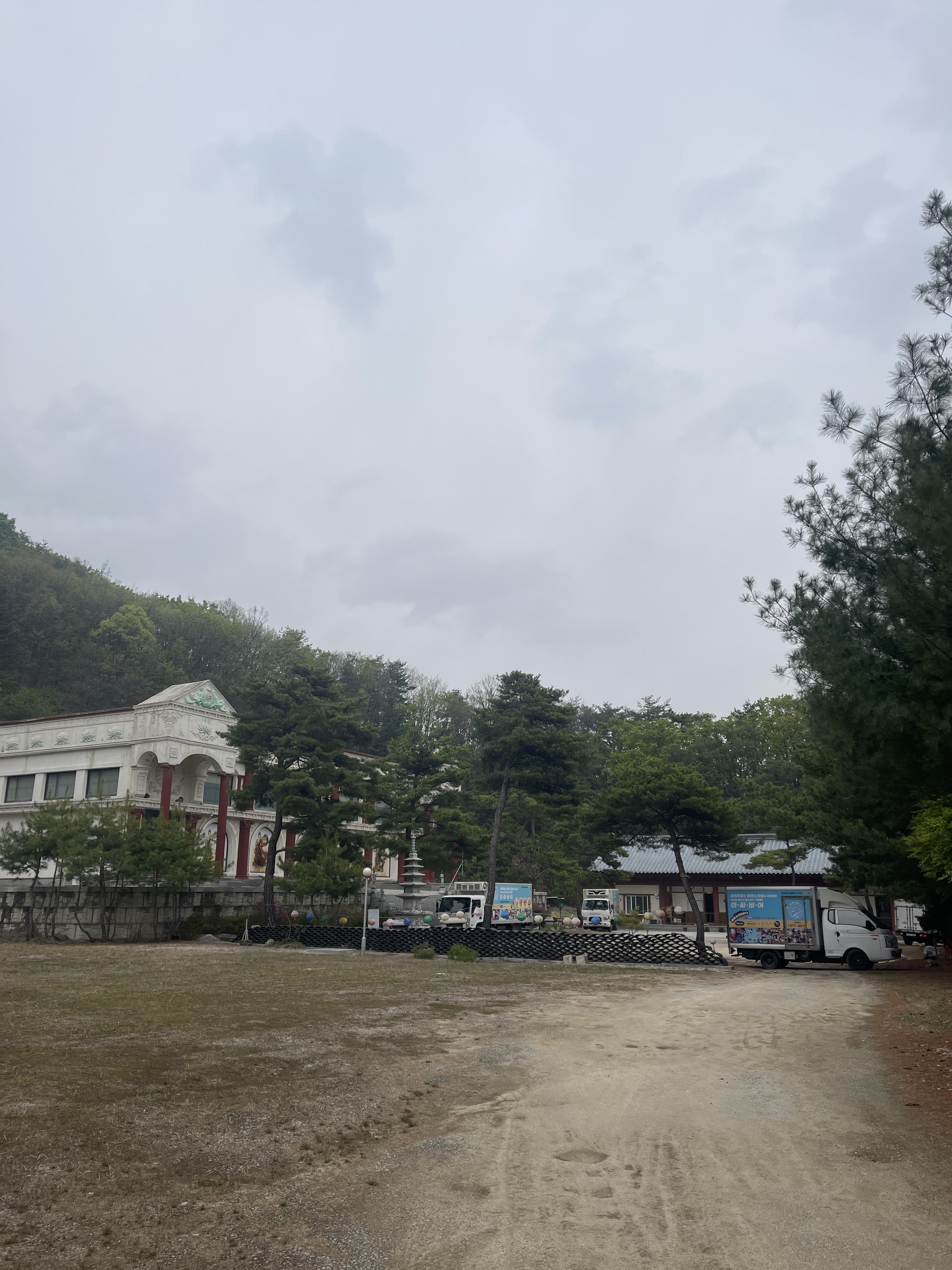 백화사 11