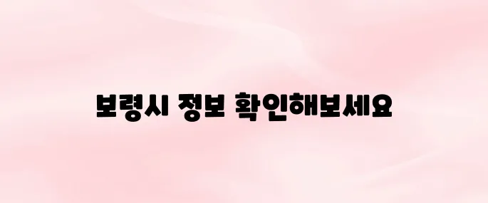 보령시청 홈페이지 바로가기 (www.brcn.go.kr)