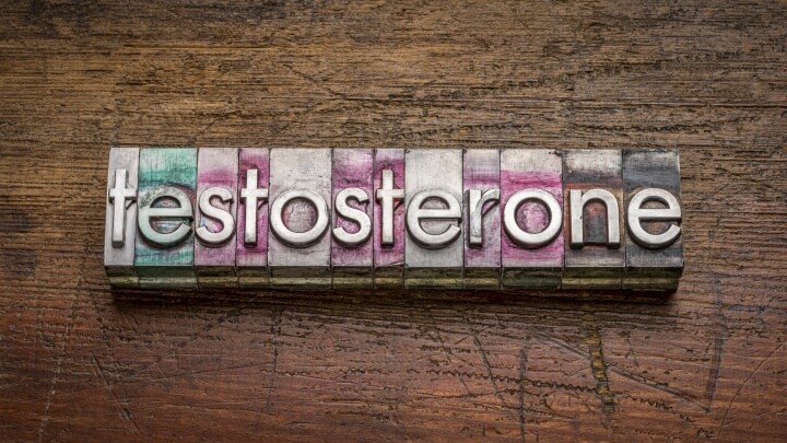 테스토스테론